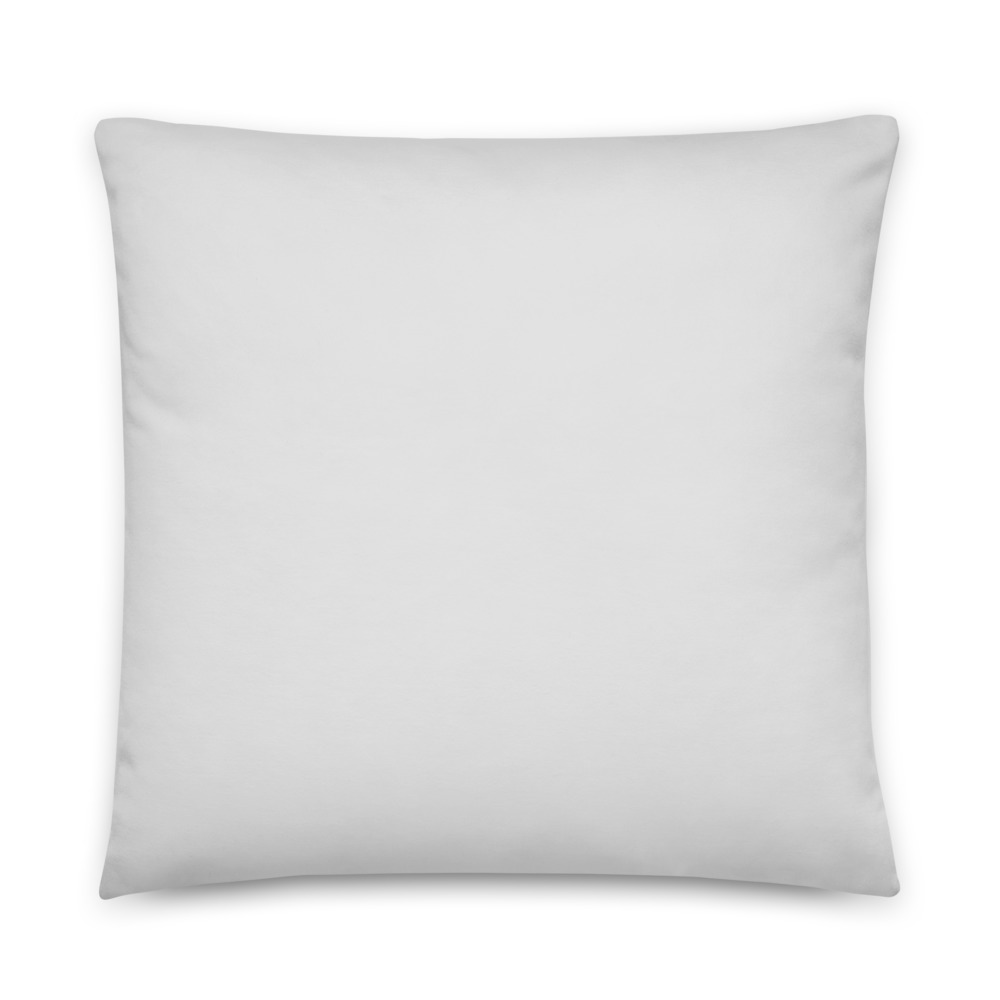 all-over-print-basic-pillow-22x22-5fe25c84bcc08.jpg